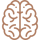 brain-1.png